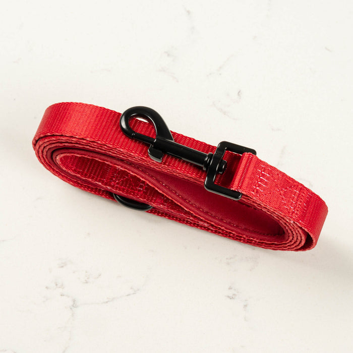 Ruby Lead
