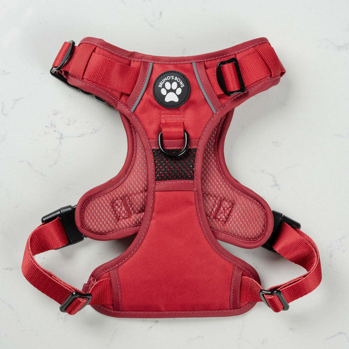 Ruby MaxControl No Pull Harness