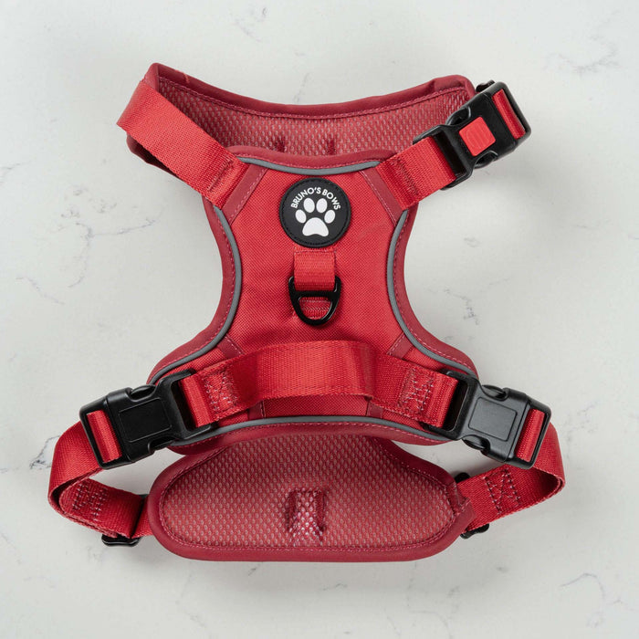 Ruby MaxControl No Pull Harness