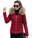 Slim-Fit Zippered Winter Coat with Hood for Women: dark red, brown hooded puffer jacket, winter outerwear style