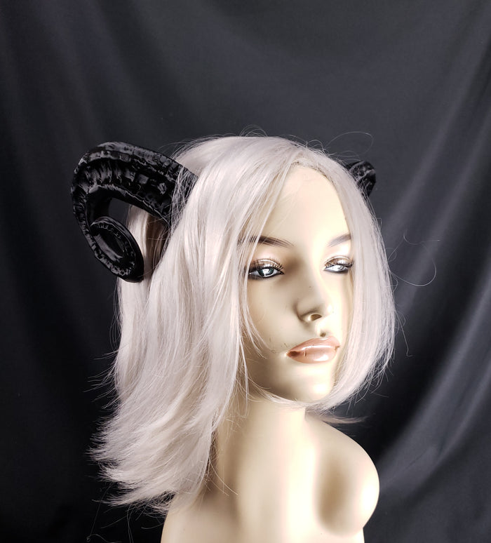 Small Curved Goat Horns- In Stock