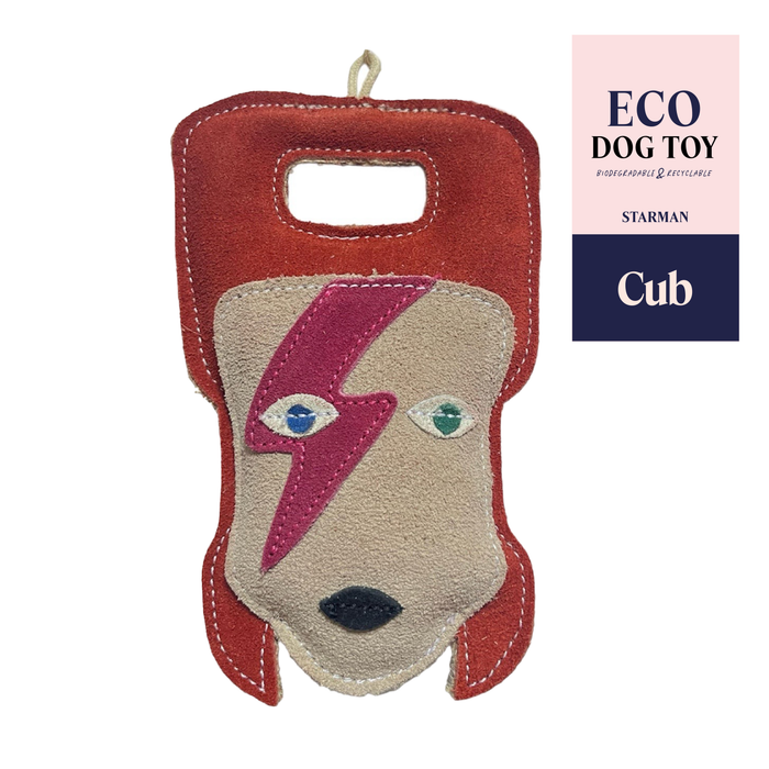 Starman (Limited Edition)