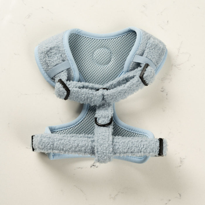 Teddy Blue Harness