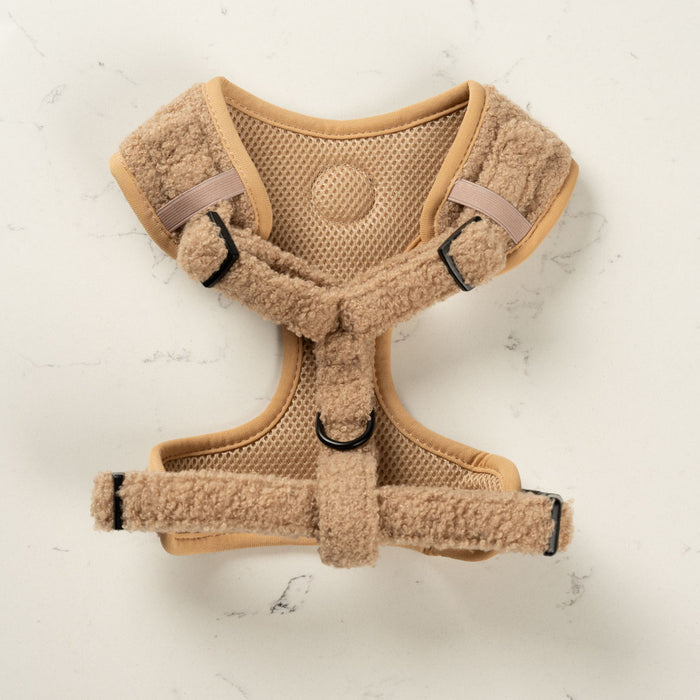 Teddy Dog Harness Bundle - Brown