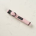 Teddy Pink Collar