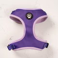 Violet MaxComfort Dog Harness - Built for All-Day Comfort
