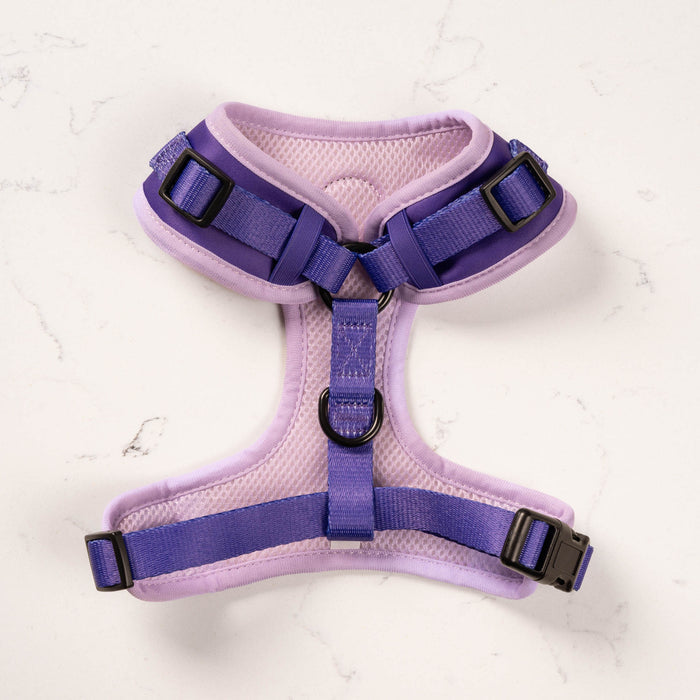 Violet MaxComfort Dog Harness - Built for All-Day Comfort
